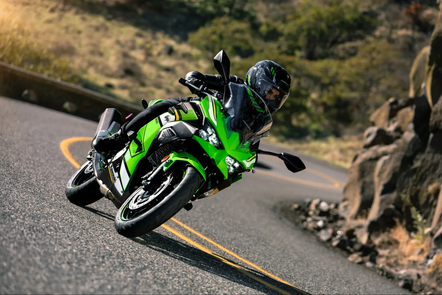 Kawasaki Ninja 500