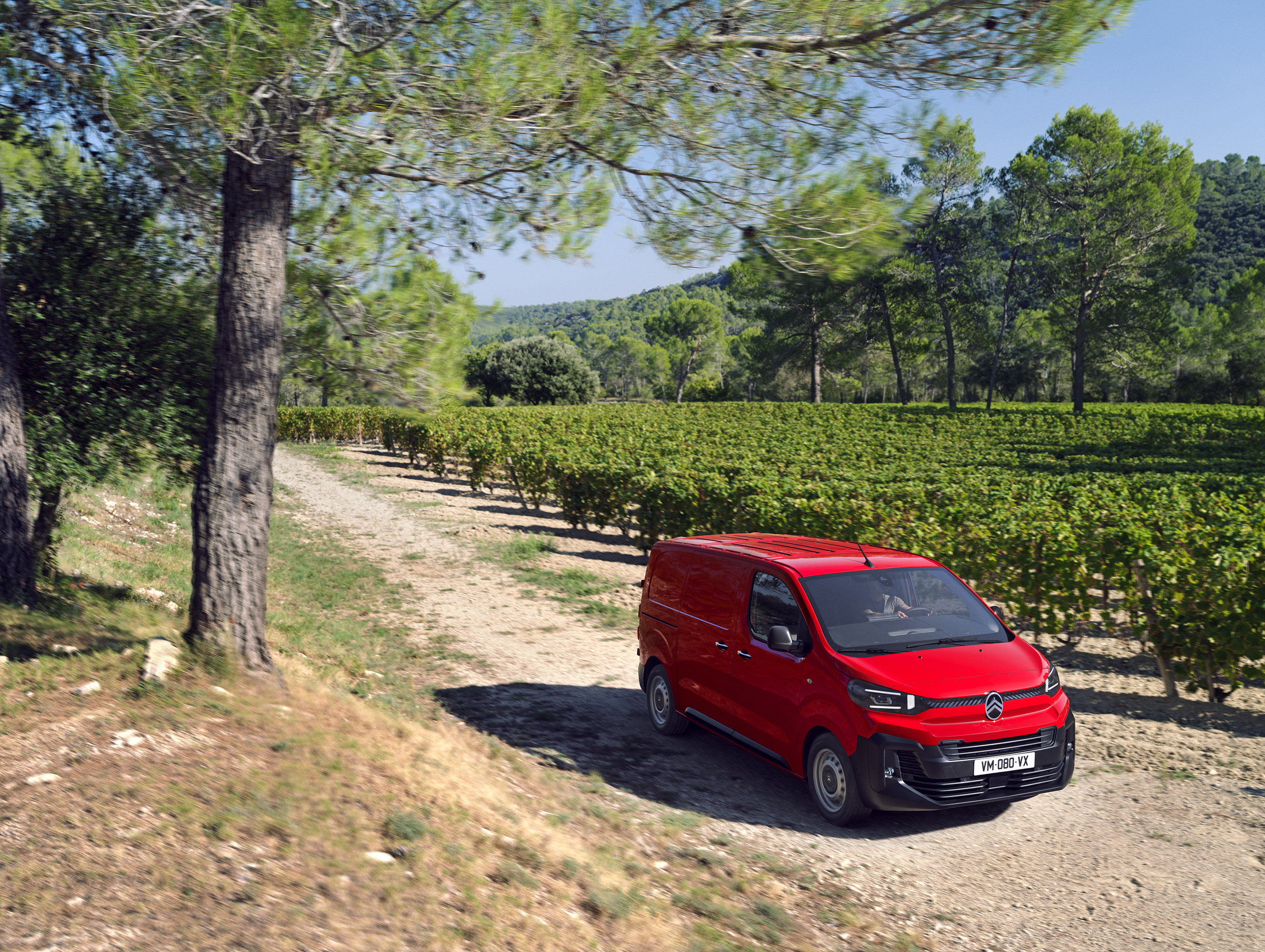 Citroën Jumpy 2024 : trois quarts avant droit dans les vignes