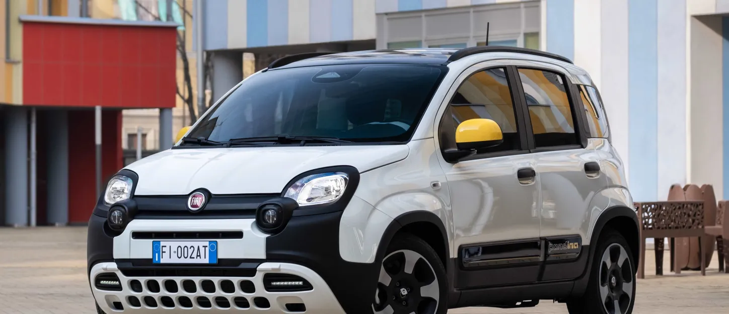 01_fiat_pandina.jpg