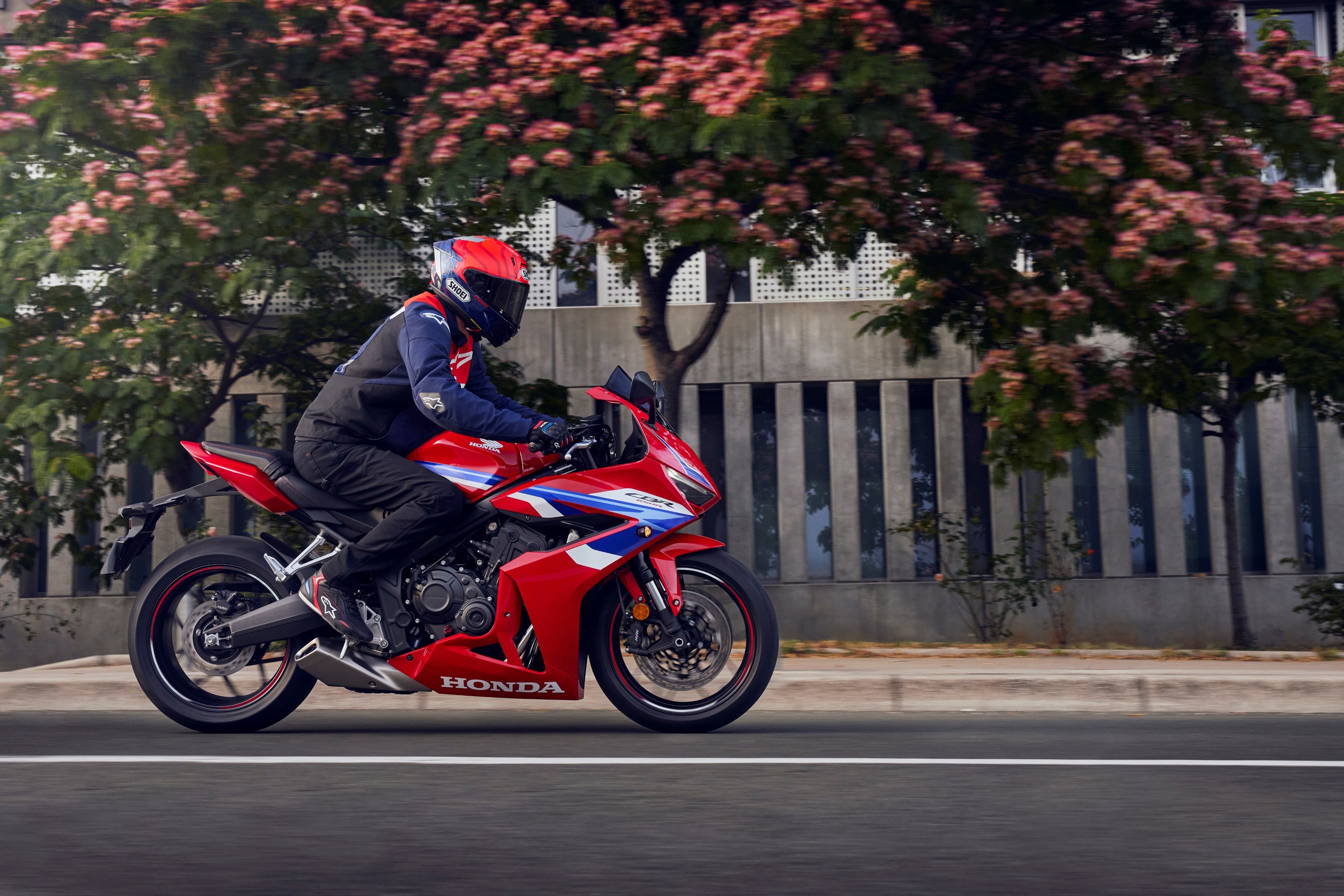 Honda CBR650R 2024 : profil droit sur route