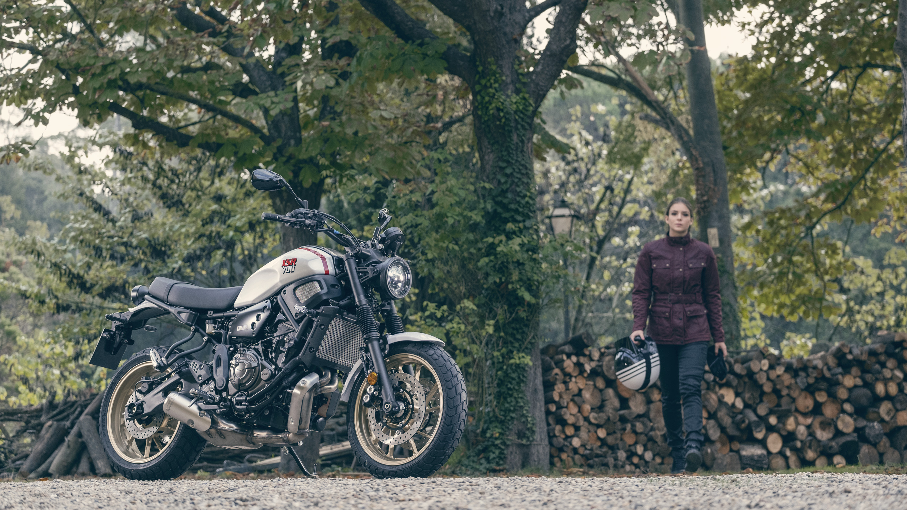 Yamaha XSR700 XTribute 2022 : trois quarts avant droit mise en scène