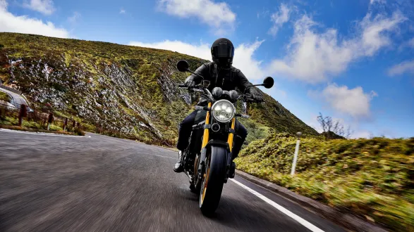 Kawasaki Z900RS : Face