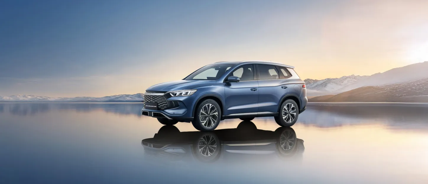 BYD Sealion 5 : 3/4 lac gelé