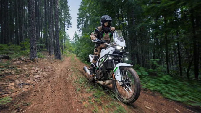 Kawasaki KLE 500 : Chemin en forêt