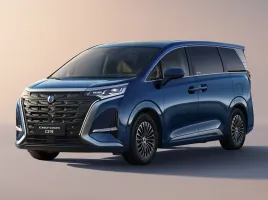 Denza D9