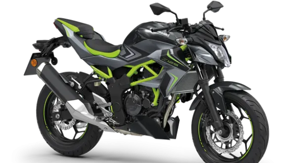 kawasaki Z125 Gris Pearl Storm / Noir Ebony