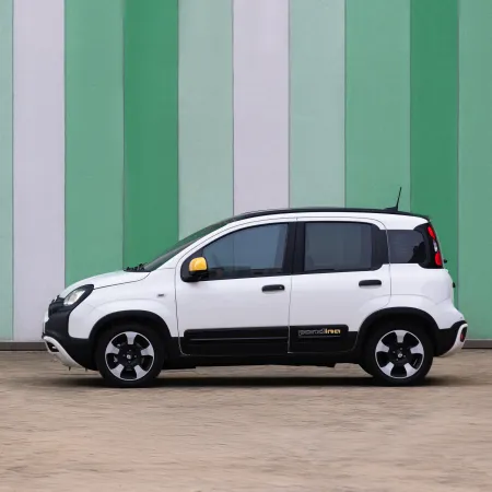 Fiat Pandina : Profil