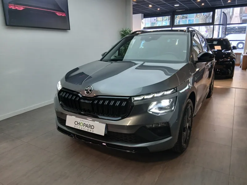 Skoda-KAMIQ-d'occasion chez BYD Nice
