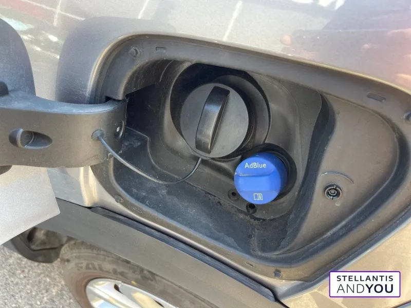 Image secondaire du véhicule 19