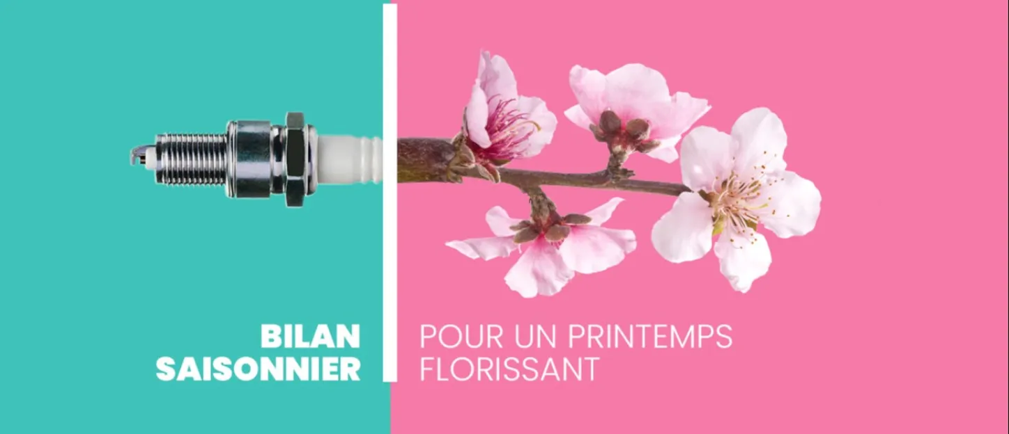 Bilan sécurité Fiat